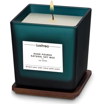 Private Label Candle Luxitrea Candle Lemon mint scented candle