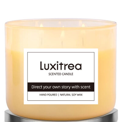 Luxitrea Candle   Mango and Peach 3 Wicks Scented Candle  10 oz Private Label Candle