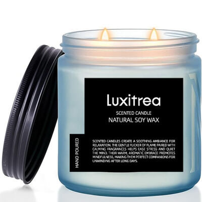 Subtle Art Plum Blossom Candle 11 Oz 2 Wick 70H Burn Time Luxury Design