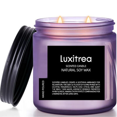 Luxitrea Candle Scented Soy Wax Candle 11oz 2 Wick 70H Burn Time Purple taro Scented Candle