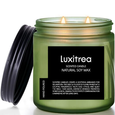 Luxitrea Candle SubtleArt Jinling Winter Plum‌ Scented Candle 11 oz 2 Wick 70H Burn Time Scented Soy Wax Candle