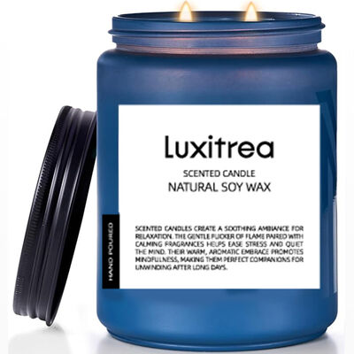 19 Oz Scented Soy Wax Candle Paddywax Blue Citrus And Basil Scented Candle 2 Wick 110 Hours