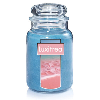 20 Oz Glass Bottle Candle For Peony Fruity Notes Lemon Aroma 80 Hours