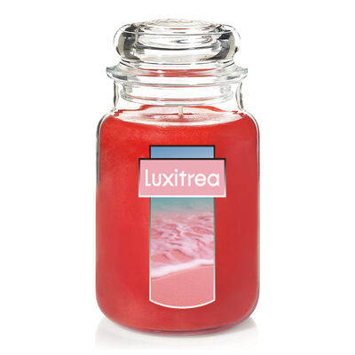 Luxitrea Scented Candle Classic 22oz Large Jar Single Wick Candle Over 110 Hours of Burn Time