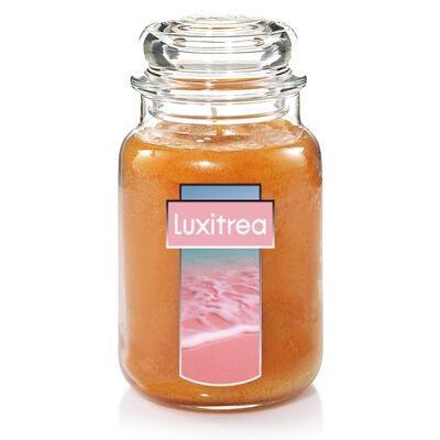 Luxitrea Scented Candle Classic 22oz Large Jar Single Wick Candle Over 110 Hours of Burn Time