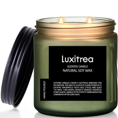 11oz 2 Wick Highly Scented Soy Candles 70H Burn Time Humble Swamp‌ Mood Boosting Aromatherapy‌