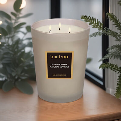 Home Decoration Aromatherapy Natural Soy Wax Candle 3 Oz Biodegradable