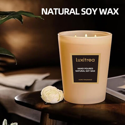 Luxitrea Candle 13 oz Private Label Candle Mediterranean Citrus Candle Lemon Basil Sea Salt