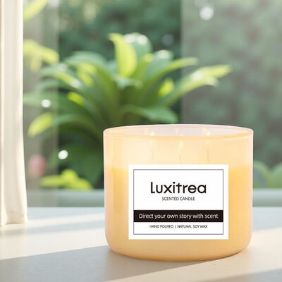 Luxitrea Candle   Mango and Peach 3 Wicks Scented Candle  10 oz Private Label Candle