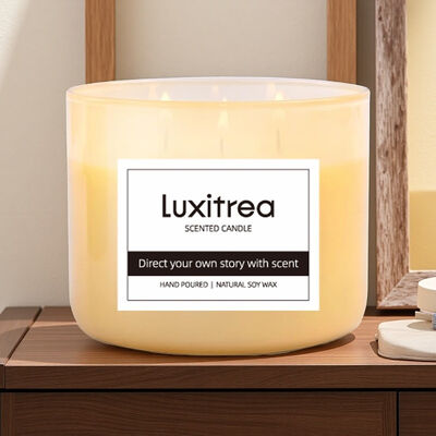 Luxitrea Candle   Mango and Peach 3 Wicks Scented Candle  10 oz Private Label Candle