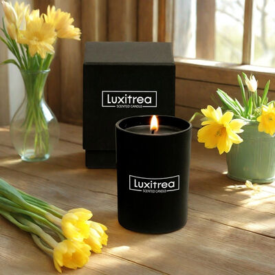 Reusable Container Scented Candle Gift Set Natural Essential Oils Home Fragrance Collection for Elegant Ambiance and Relaxation