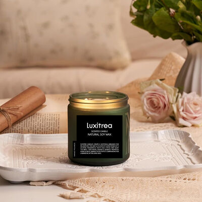 11oz 2 Wick Highly Scented Soy Candles 70H Burn Time Humble Swamp‌ Mood Boosting Aromatherapy‌