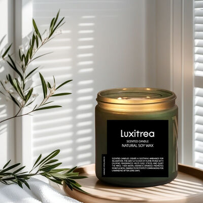 11oz 2 Wick Highly Scented Soy Candles 70H Burn Time Humble Swamp‌ Mood Boosting Aromatherapy‌