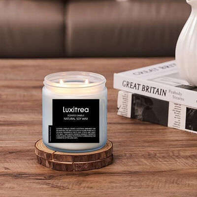 Subtle Art Plum Blossom Candle 11 Oz 2 Wick 70H Burn Time Luxury Design