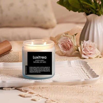 Subtle Art Plum Blossom Candle 11 Oz 2 Wick 70H Burn Time Luxury Design