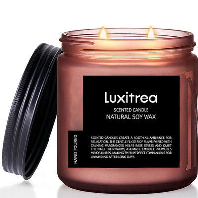 Scented Soy Wax Candle AERY Pleasure Space Scented Candle Luxitrea Candle 11oz 2 Wick 70H Burn Time