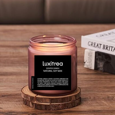 Scented Soy Wax Candle AERY Pleasure Space Scented Candle Luxitrea Candle 11oz 2 Wick 70H Burn Time