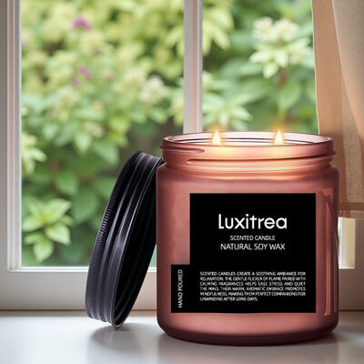 Scented Soy Wax Candle AERY Pleasure Space Scented Candle Luxitrea Candle 11oz 2 Wick 70H Burn Time