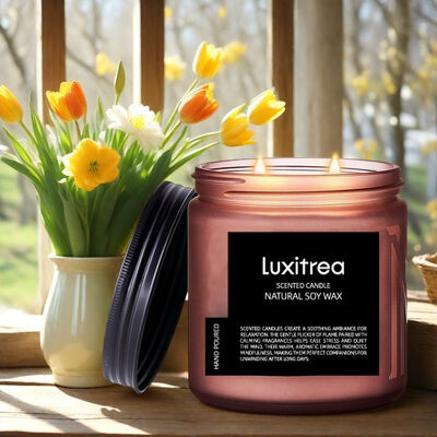 Scented Soy Wax Candle AERY Pleasure Space Scented Candle Luxitrea Candle 11oz 2 Wick 70H Burn Time