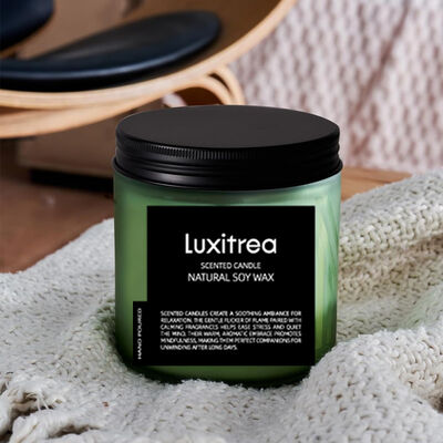 Luxitrea Candle SubtleArt Jinling Winter Plum‌ Scented Candle 11 oz 2 Wick 70H Burn Time Scented Soy Wax Candle