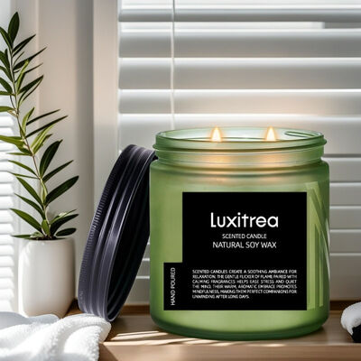 Luxitrea Candle SubtleArt Jinling Winter Plum‌ Scented Candle 11 oz 2 Wick 70H Burn Time Scented Soy Wax Candle