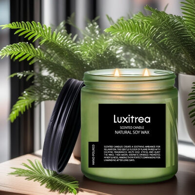 Luxitrea Candle SubtleArt Jinling Winter Plum‌ Scented Candle 11 oz 2 Wick 70H Burn Time Scented Soy Wax Candle