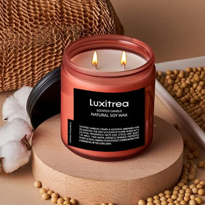 Scented Soy Wax Candle Pink Champagne Romantic Floral and Fruit Tune 11oz 2 Wick 70H Burn Time Luxitrea Candle