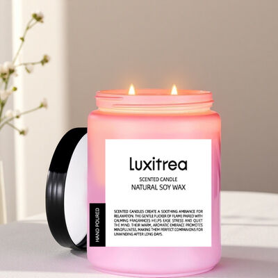 14oz Scented Soy Wax Candle Decoration Romantic Atmosphere Clove 2 Wick Candles