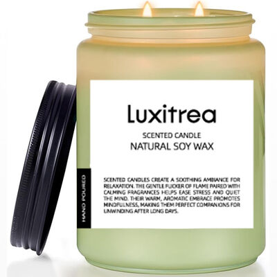 Luxitrea Candle Scented Soy Wax Candle 19 oz 2 Wick 110 Hours Long Lasting Candle Voluspa Blue Citrus and Whiplash Scented Candle