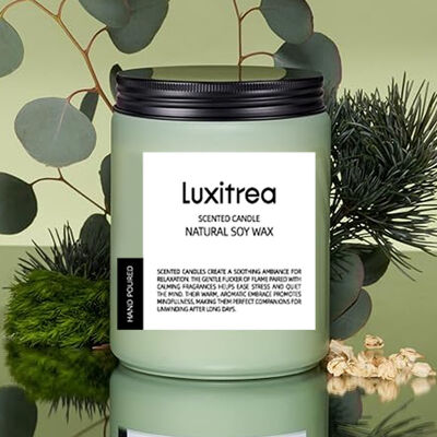 Luxitrea Candle Scented Soy Wax Candle 19 oz 2 Wick 110 Hours Long Lasting Candle Voluspa Blue Citrus and Whiplash Scented Candle