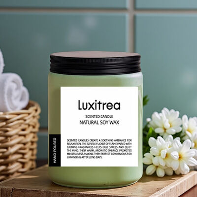 Luxitrea Candle Scented Soy Wax Candle 19 oz 2 Wick 110 Hours Long Lasting Candle Voluspa Blue Citrus and Whiplash Scented Candle