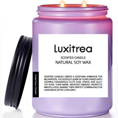 Romantic Atmosphere Lavender Scented Candle Luxitrea Candle 14oz 2 Wick 110 Hours Long Lasting Candle Scented Soy Wax Candle