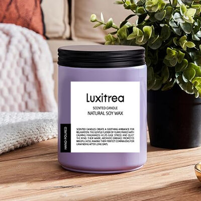 Romantic Atmosphere Lavender Scented Candle Luxitrea Candle 14oz 2 Wick 110 Hours Long Lasting Candle Scented Soy Wax Candle