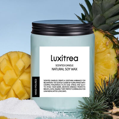 Hydrangea Lily Of The Valley Candles 19Oz 2 Wick 110 Hours Long Lasting