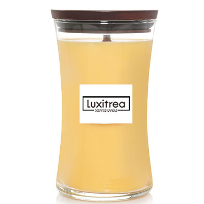 Tropical Fruit Mango Scented Candles Lead Free Round Shape With Cotton Wick