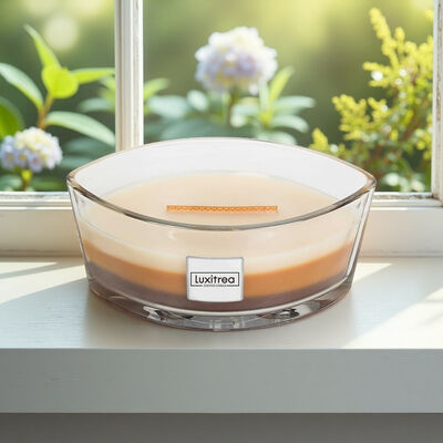 Single Wick Aromatherapy Scented Candle 50 Hours Burn Time 16oz Customization