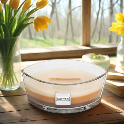 Single Wick Aromatherapy Scented Candle 50 Hours Burn Time 16oz Customization