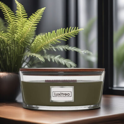 50 Hours Burn Time 16oz Large Jar Candle Parthenon Temple Swamp Aromatherapy Scented Candle