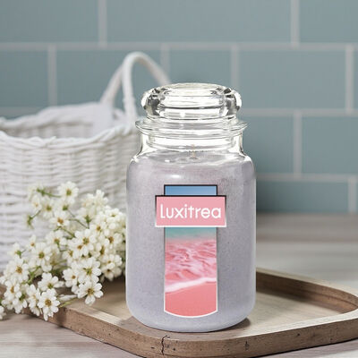 Luxitrea Candle   Bottled Up Scented Candles   The aroma of Crystal grape  jasmine  Cedar  80 HoursLong Burning Time  20 oz