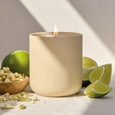 4oz Ceramic Scented Candle Crystal Grape Jasmine 35 Hours Cedar Scented Candles