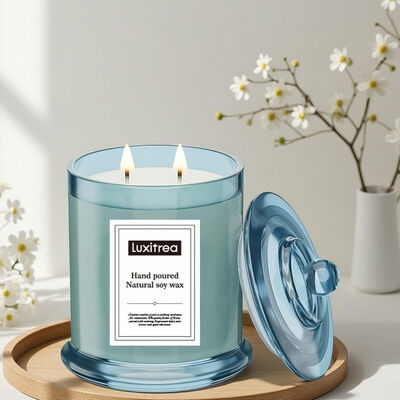 Handmade Soy Wax Candle Frosted Glass Jar Natural Scented Long Lasting Eco Friendly Candle Ideal for Home and Decoration